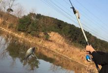 冬季寒冷天气钓鱼的六个技巧