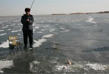 天冷合适钓鱼吗？这里有答案