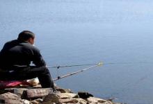 新手入门！初冬如何钓好鲫鱼