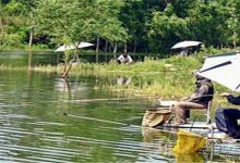 秋季野钓鲫鱼的技巧，让你的渔获与众不同