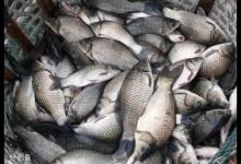 冬钓阳应注意的3个细节