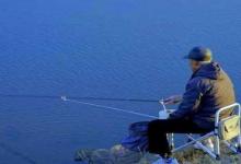 冬初想要钓大鲫鱼，什么时候出钓才是最合适？