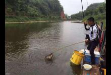 春钓最易犯的5个错误，不想空军的快看