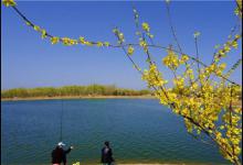 早春时节出钓时间及打窝技巧