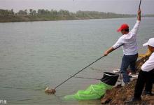 秋季野钓没口的时候，可以用这三个技巧破空军