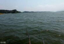 秋季刮风天钓鱼，注意这些小诀窍