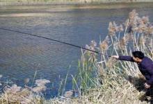 冬季钓鲫鱼选钓位、线组、饵料的实战技巧