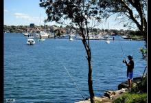 冬季鱼口太轻怎么办？三大绝招助你轻松应对轻口鱼