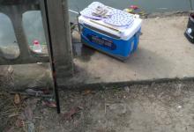 深秋在南方使用传统钓的经验分享