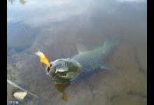 如何在寒冷的冬天里钓到大鱼，7个建议