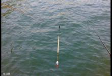 冬季棚钓大鲫鱼，如何精细饵料和线组？