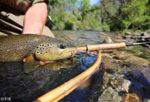 初秋，仲秋，晚秋，三个阶段钓鱼技巧分析