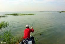 秋季钓鱼的四个小方法，爆护小关键