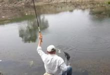 注意3个技巧，夏天钓鱼才好钓