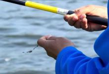 南北深秋野钓大不同！几招教你区分