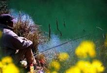 春季钓鱼3忌3宜及钓点选择的奥秘