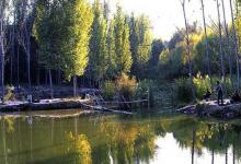 深秋时节如何钓鱼，这三点变化应当要注意