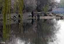 四季钓鱼的最佳出钓时机