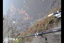浅谈冬季矶竿钓鱼的钓具搭配及钓法