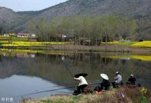 漫谈初春钓鱼宜阴雨天