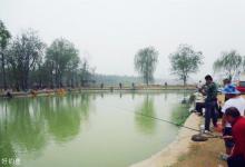 夏秋时节肥水钓鱼的五个原则