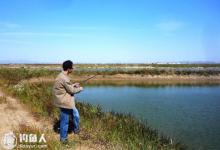 浅谈秋季钓鱼的用饵技巧及钓法
