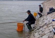 秋分时节钓大鱼钓位、提竿、天气的技巧