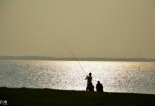 初秋野钓鲫鱼的三个实用技巧