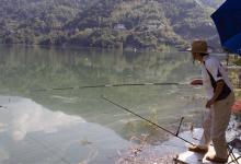 秋季好钓鱼的四个时间段介绍