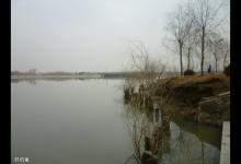 早春钓鱼如何选择钓点和落钩点为好