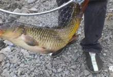 新手秋季钓大鱼不能做的三件事