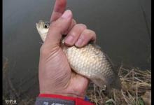 早春季节钓鱼的六个体会