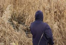 春季自然水域枯草边钓鱼的技巧