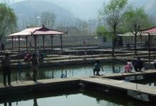 秋季鱼儿不吃饵怎么办？可能是这几个原因