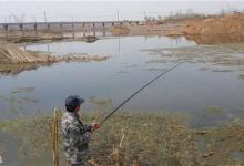 初春钓鱼是选择走钓还是定点钓好