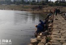 初冬低温天气钓鱼选位用饵技巧及钓法