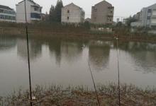 筏竿串钩冬钓鲫鱼的钓具搭配技巧