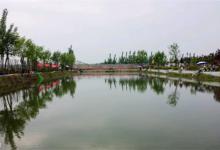 夏季钓鱼的3个诀窍，鱼星与饵料