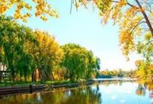 初秋钓鱼的三个注意事项