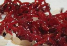 冬钓利器之让人收不起竿的红虫饵