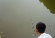 夏钓鲫鱼的3个应对技巧