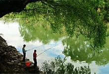 秋季淡水鱼很难钓？了解习性让你提竿到手软