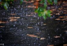 秋天这5种天气，应如何钓鱼？