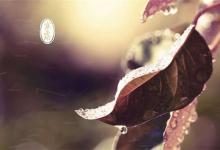 寒露快到了，赶快做出这6点调整