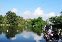 春季钓鱼的四个变化