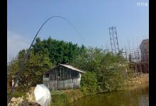 春季钓鱼的正确提竿方法