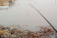 浅析冬季作钓的深浅选择