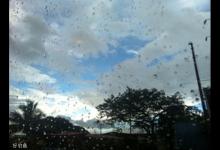 秋季根据不同天气情况钓鱼的技巧