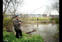 春季钓鱼宜钓草
