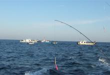 寒露前后垂钓鲤鱼的选位配饵技巧